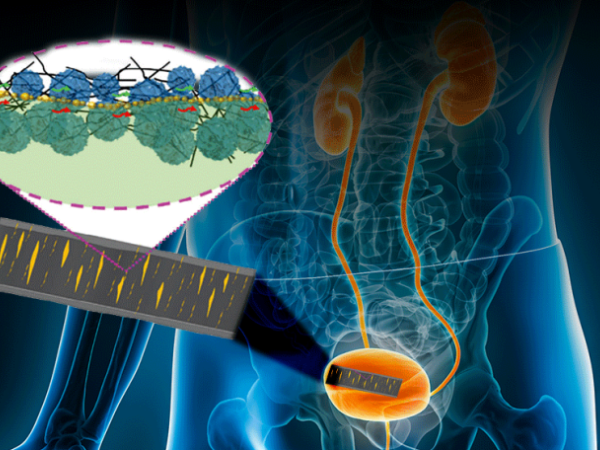 Skin-like sensor monitors internal, external body movement, electrical signals  | Penn State University