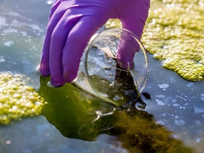 Scientists sound the alarm as microplastics were found in freshwater across Pennsylvania