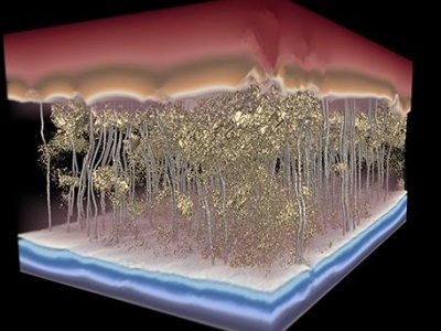 The complex mystery of membranes | Penn State University
