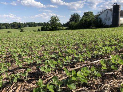 Farmers in 14 counties will be surveyed on their use of conservation practices | Penn State University