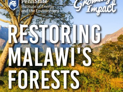 Growing Impact Restoring Malawi's Forests