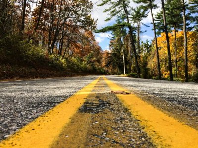 closeup of the yellow lines on a roadway in a forest
