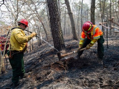 A New Jersey wildfire tore through thousands of acres—right after the state cut back on prescribed burns