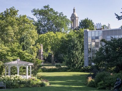 Penn State announces tenure-line faculty promotions, effective July 1, 2024 | Penn State University