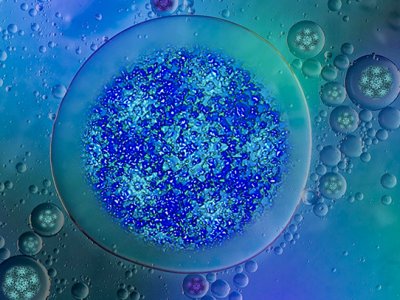 New workflow, tools allow viruses to be studied in near-native environments		