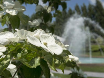 Penn State shares community-informed institutional strategic plan | Penn State University