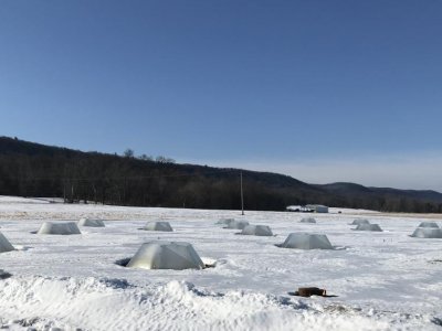 Plant scientist gets grant to study how climate change will affect forage crops | Penn State University