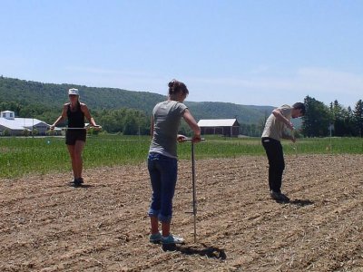 Some no-till crop rotations on dairy farms could benefit from strategic tillage | Penn State University