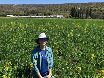 USDA grant to fund research on ‘farm tuning’ cover crop mixtures | Penn State University