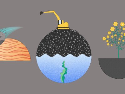 The weirdest ways scientists are mining for critical minerals, from water to weeds