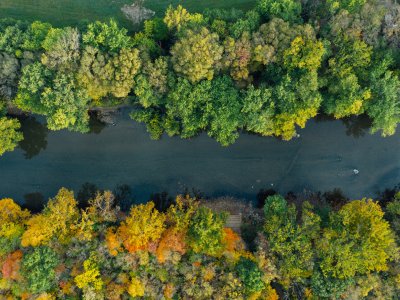 Aerial view of a stream flowing through a forest