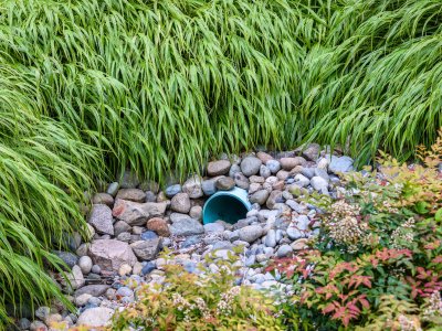 A stormwater drain surrounded by plants