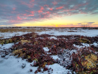 Sunset over arctic tundra
